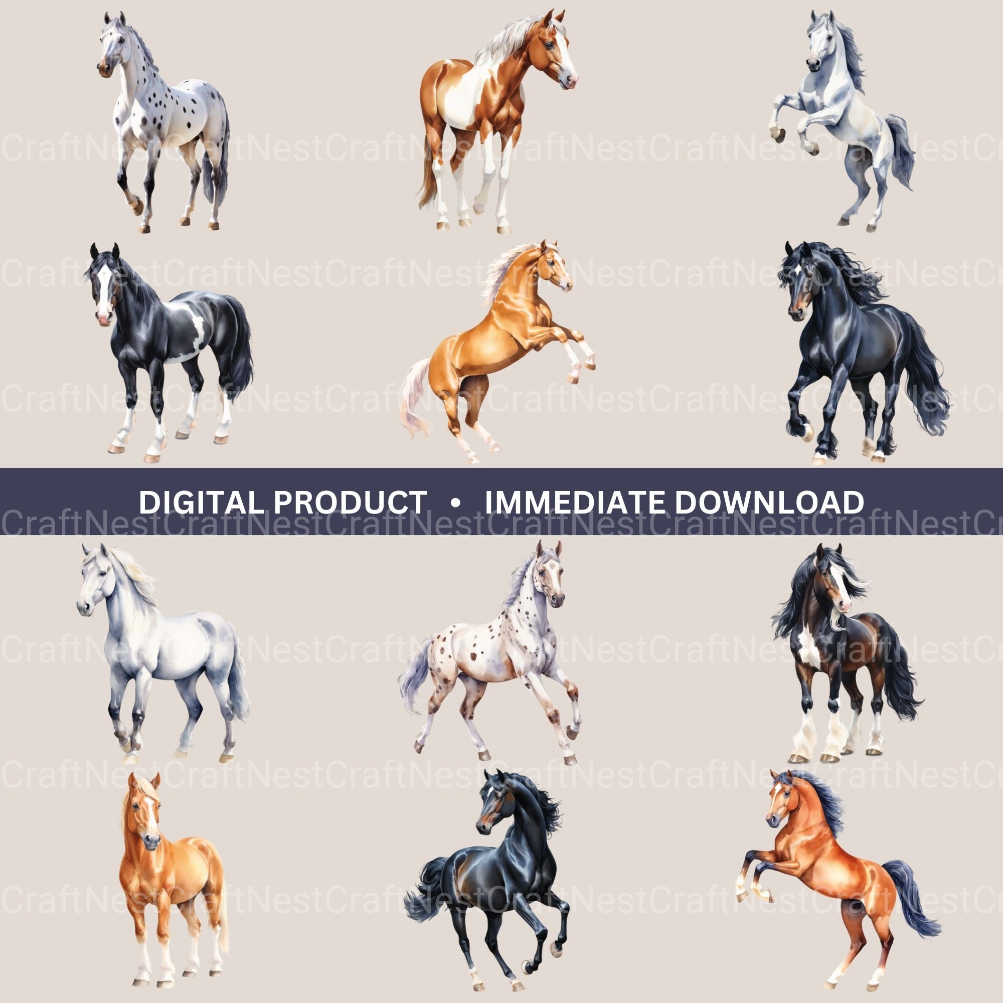 Horses Clipart Bundle 2