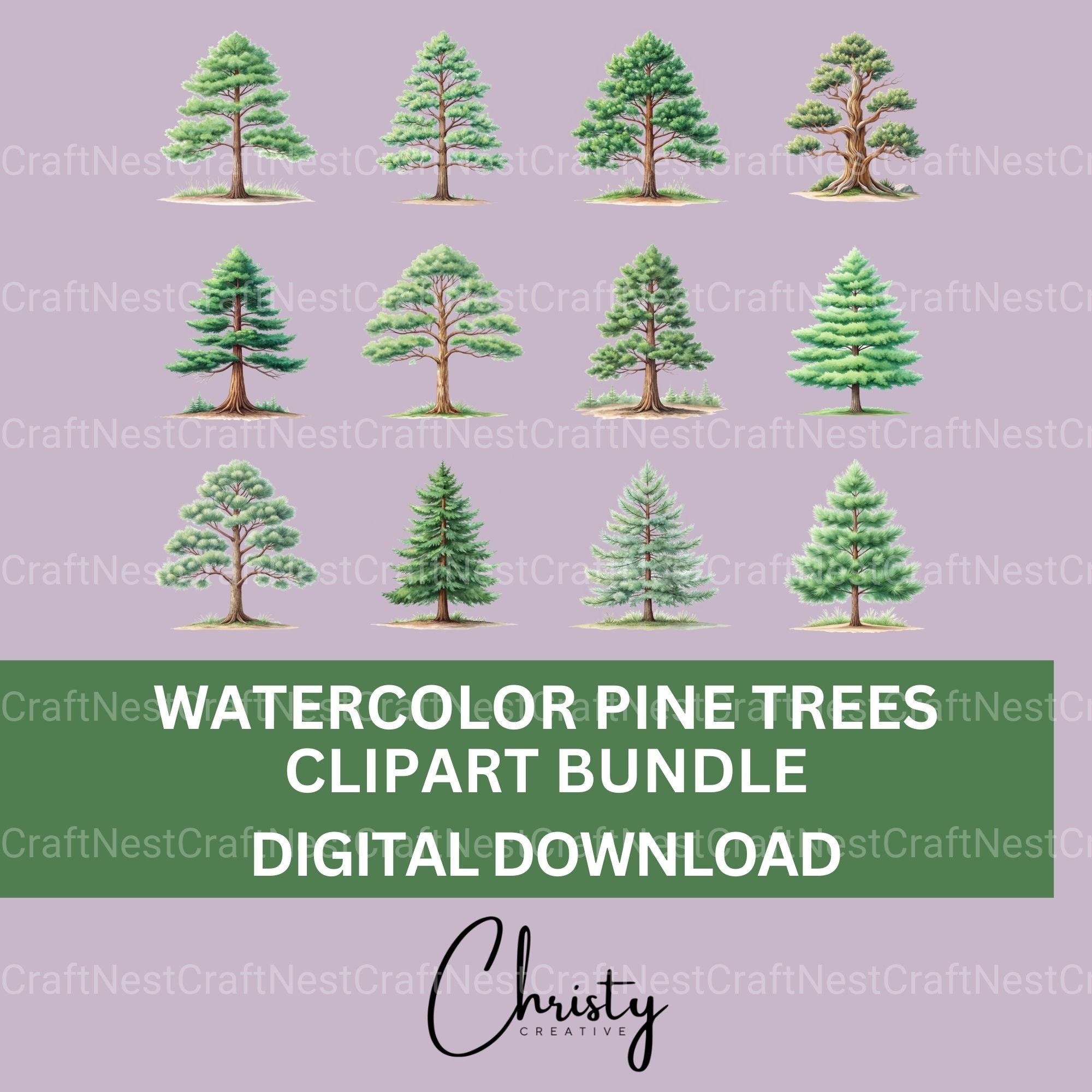 Pine Trees Clipart Bundle