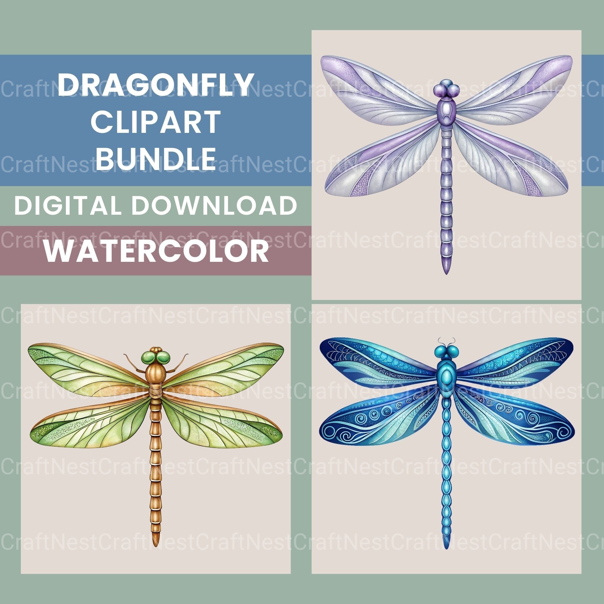 Dragonflies Clipart Bundle 2