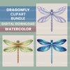 Dragonflies Clipart Bundle 2