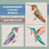 Hummingbirds Clipart Bundle