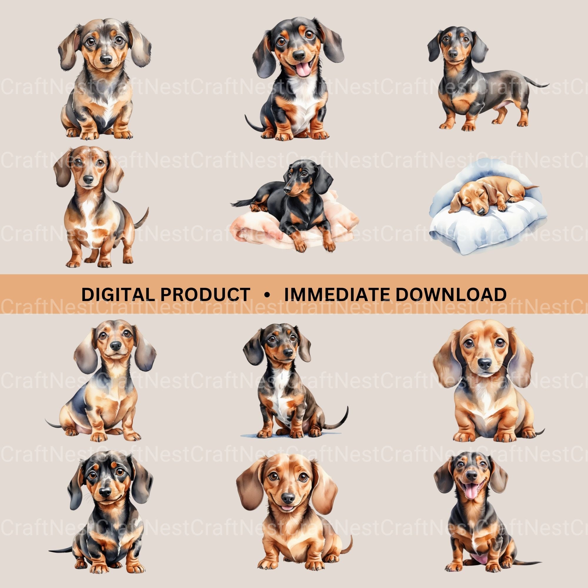 Dachshunds Updated Clipart Bundle