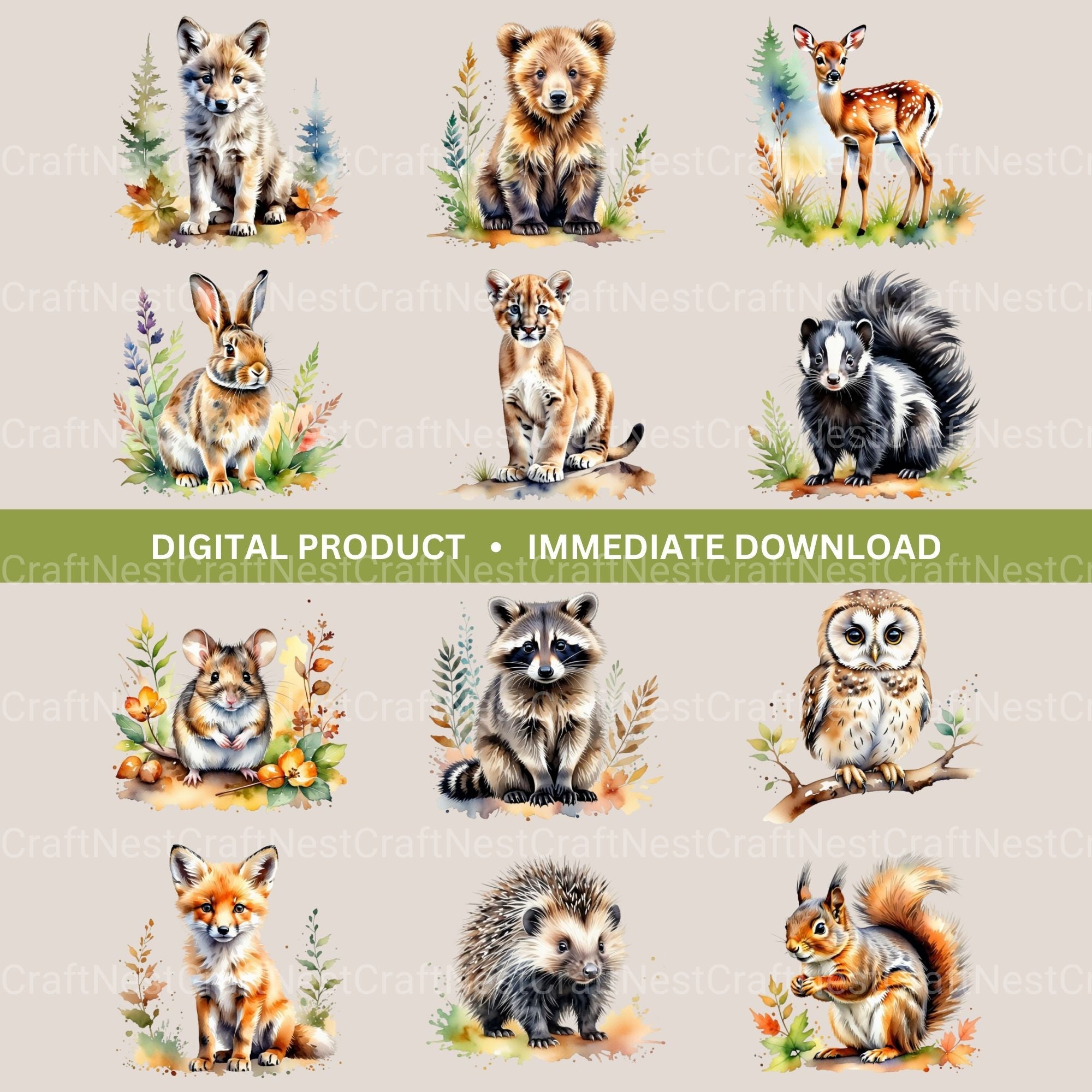 Cute Woodland Animals Clipart Bundle 2