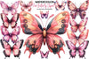 Pink Butterfly Clipart Bundle