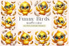 Funny Birds Clipart Bundle