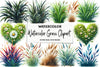 Grass Clipart Bundle