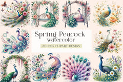 Spring Peacock Clipart Bundle - CraftNest - Digital Crafting and Art