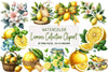 Lemon Clipart Bundle Collection