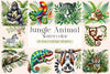 Jungle Animal Clipart Bundle
