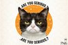 Funny Cat Quotes Clipart Bundle