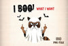 Funny Halloween Sarcastic Raccoon Clipart Bundle