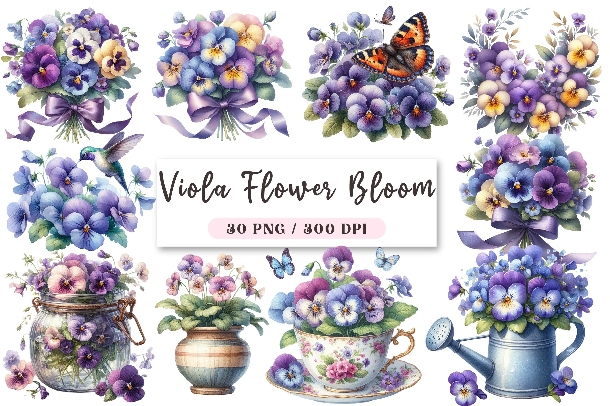 Viola Flower Bloom Clipart Bundle