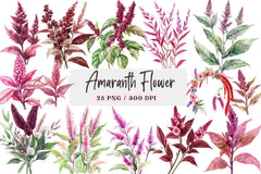 Amaranth Flower Clipart Bundle - CraftNest - Digital Crafting and Art
