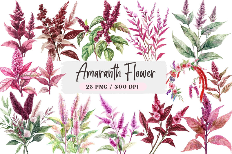 Amaranth Flower Clipart Bundle - CraftNest - Digital Crafting and Art
