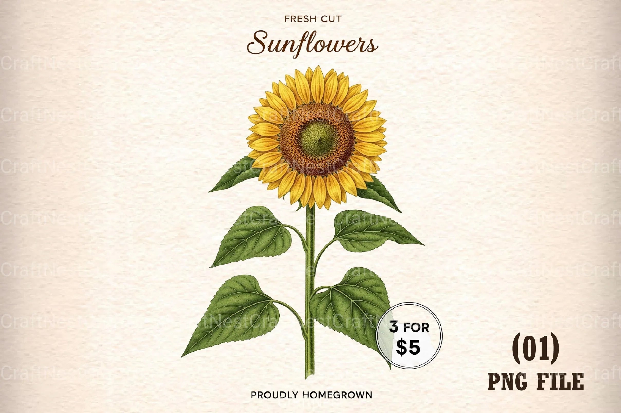 Rustic Fall Farmhouse Sunflower Sign Clipart Bundle