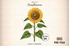Rustic Fall Farmhouse Sunflower Sign Clipart Bundle