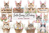 Easter Bunny Cat Peeking Sublimation Clipart Bundle