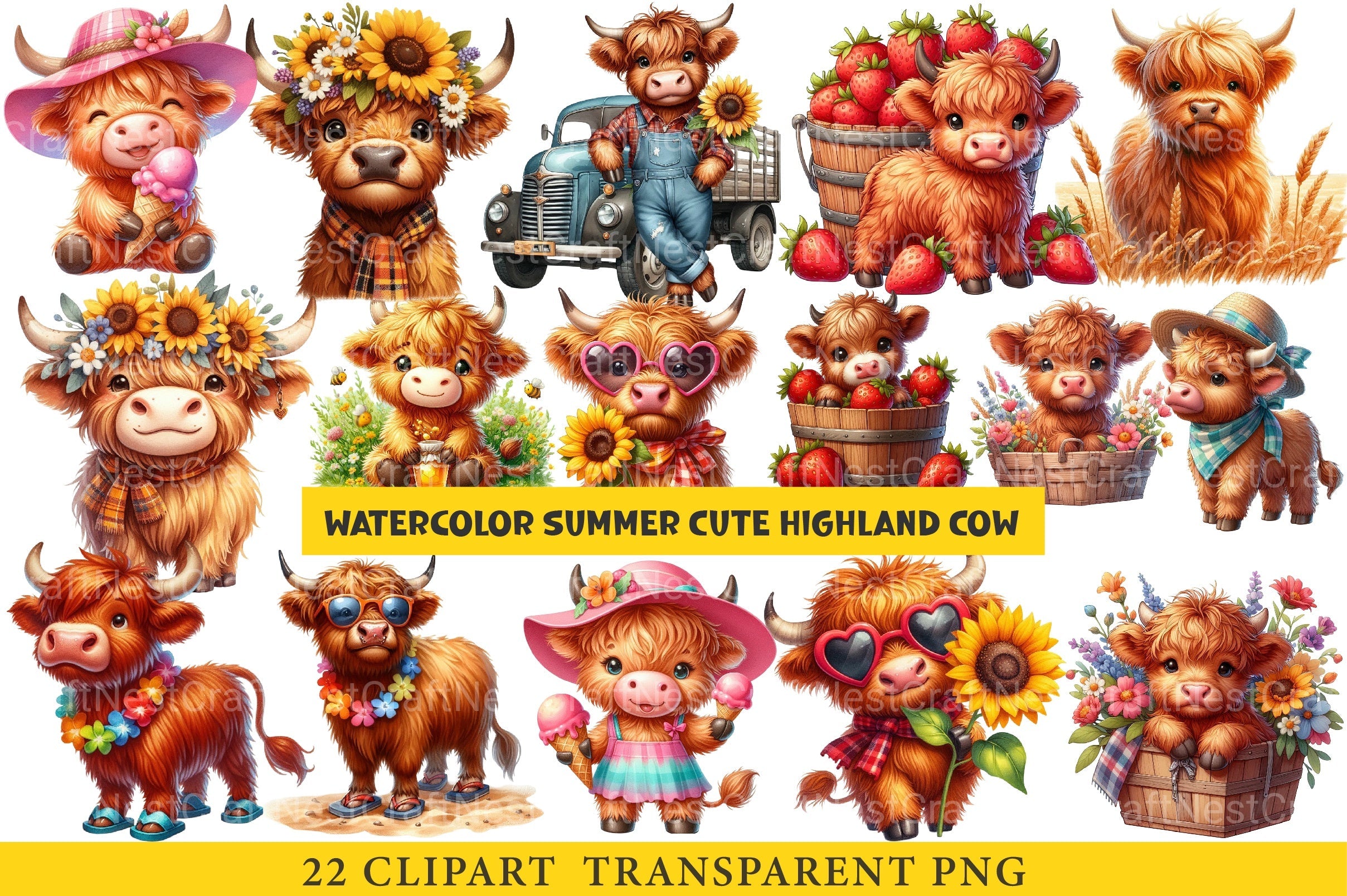 Summer Cute Highland Cow Clipart Bundle 1