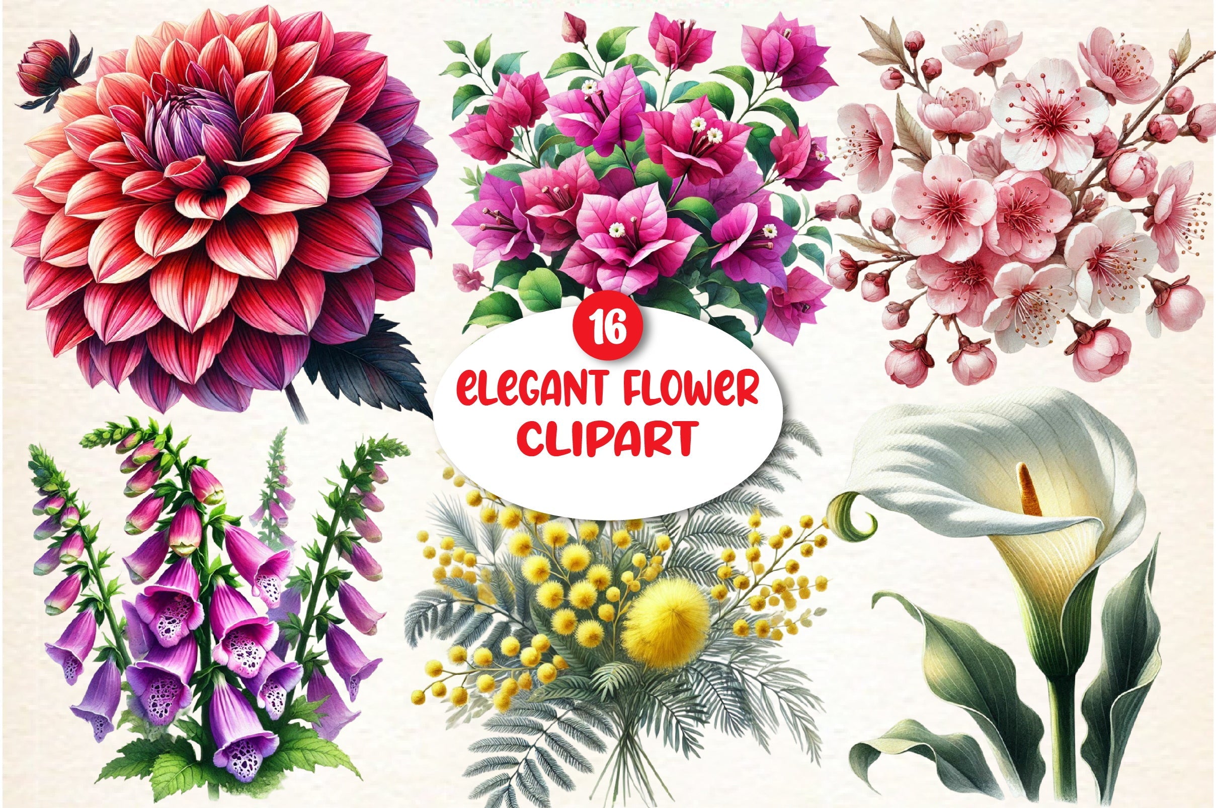 Elegant Flower Clipart Bundle