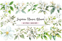 Jasmine Flower Bloom Clipart Bundle - CraftNest - Digital Crafting and Art