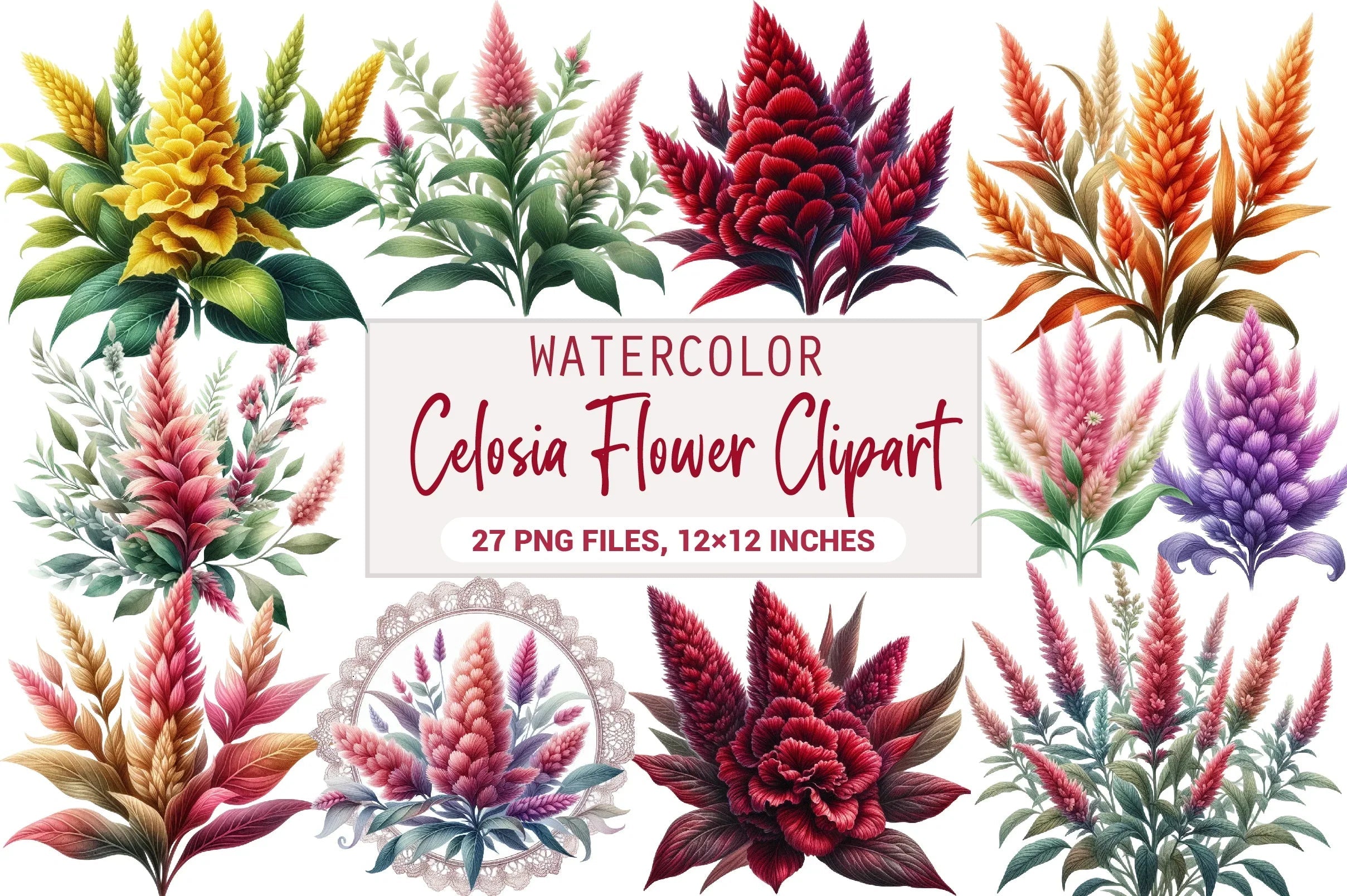 Celosia Flower Clipart Bundle - CraftNest - Digital Crafting and Art