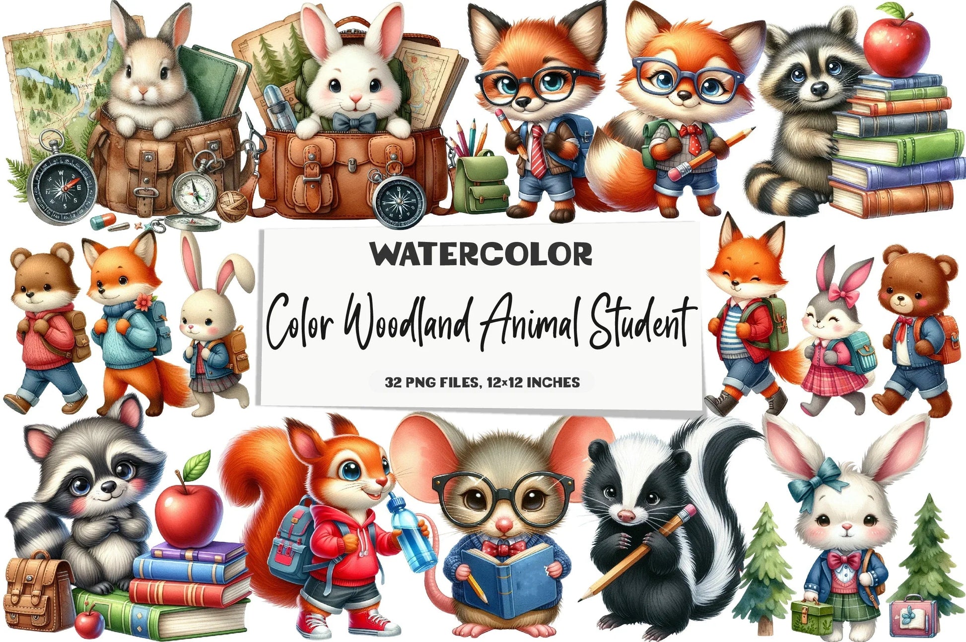 Woodland Animal Student Clipart Bundle - CraftNest - Digital Crafting and Art