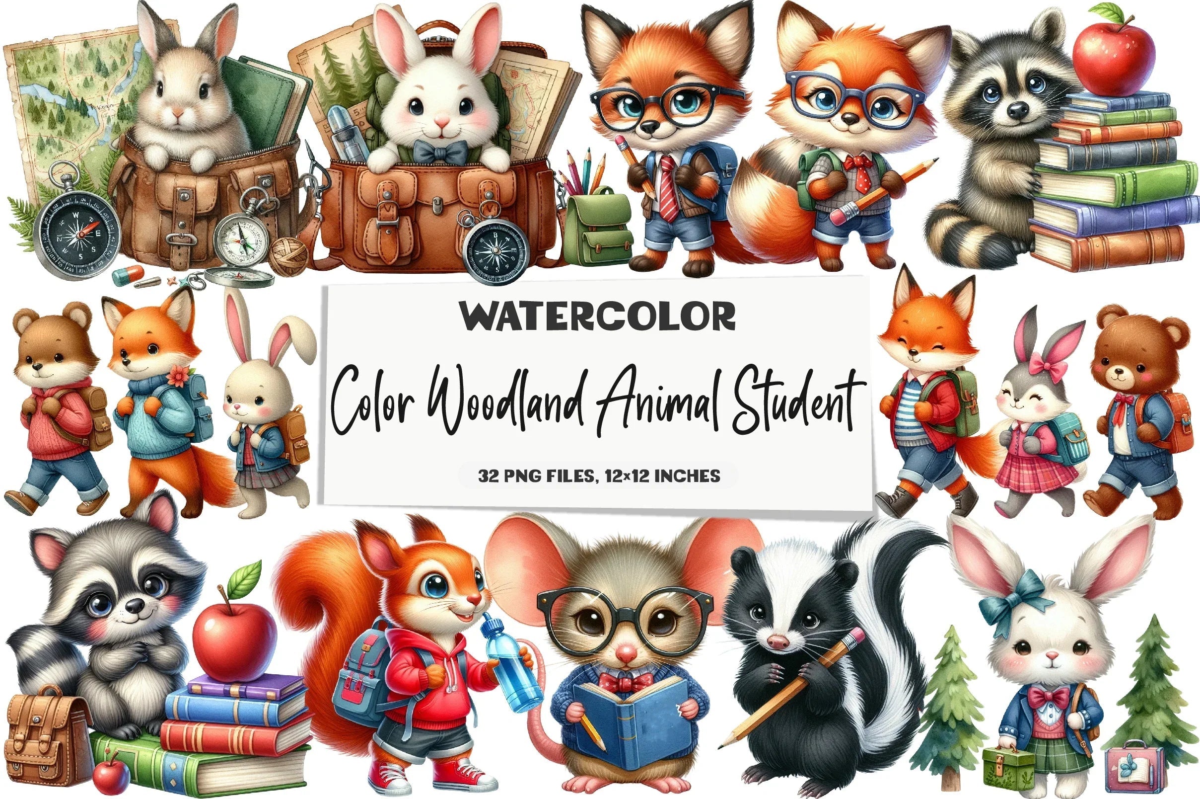 Woodland Animal Student Clipart Bundle - CraftNest - Digital Crafting and Art