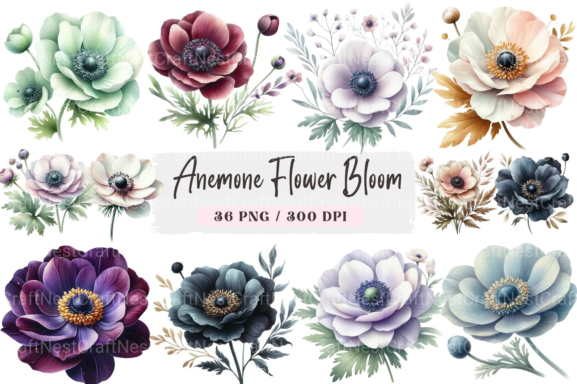 Anemone Flower Bloom Clipart Bundle 33 - CraftNest - Digital Crafting and Art