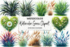Grass Clipart Bundle for Creative Designs