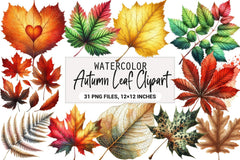 Autumn Leaf Clipart Bundle - CraftNest - Digital Crafting and Art