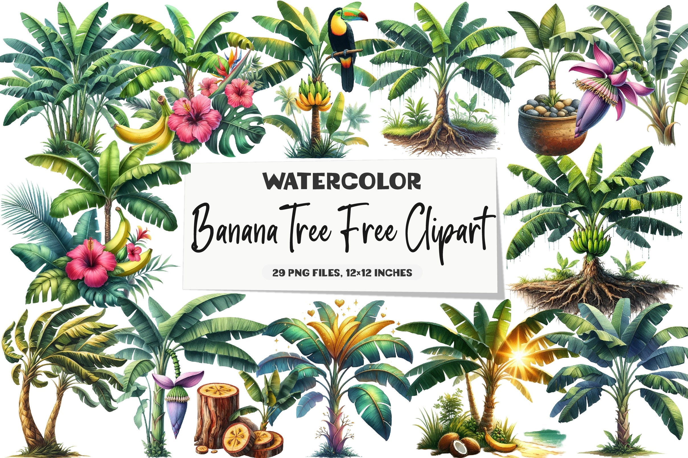 Banana Tree Free Clipart Bundle