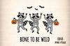 Funny Halloween Skeleton Raccoon Clipart Bundle
