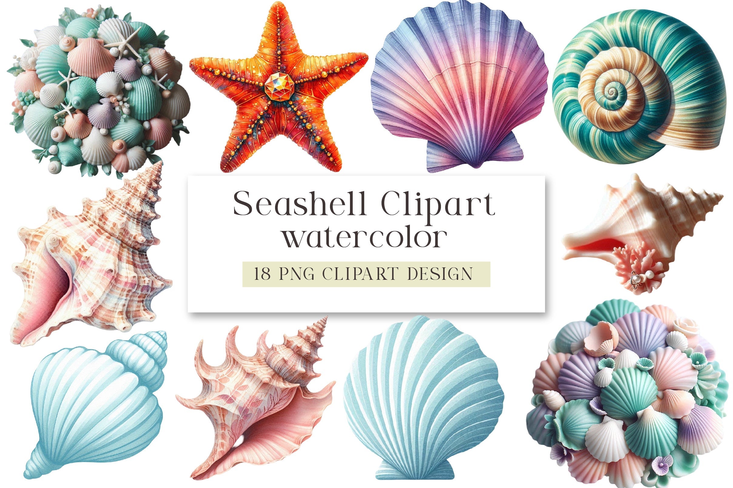 Seashell Clipart Bundle