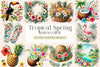 Tropical Spring Clipart Bundle