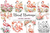 Floral Flamingo Clipart Bundle