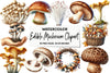 Edible Mushroom Clipart Bundle
