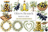 Olive Branch Clipart Bundle