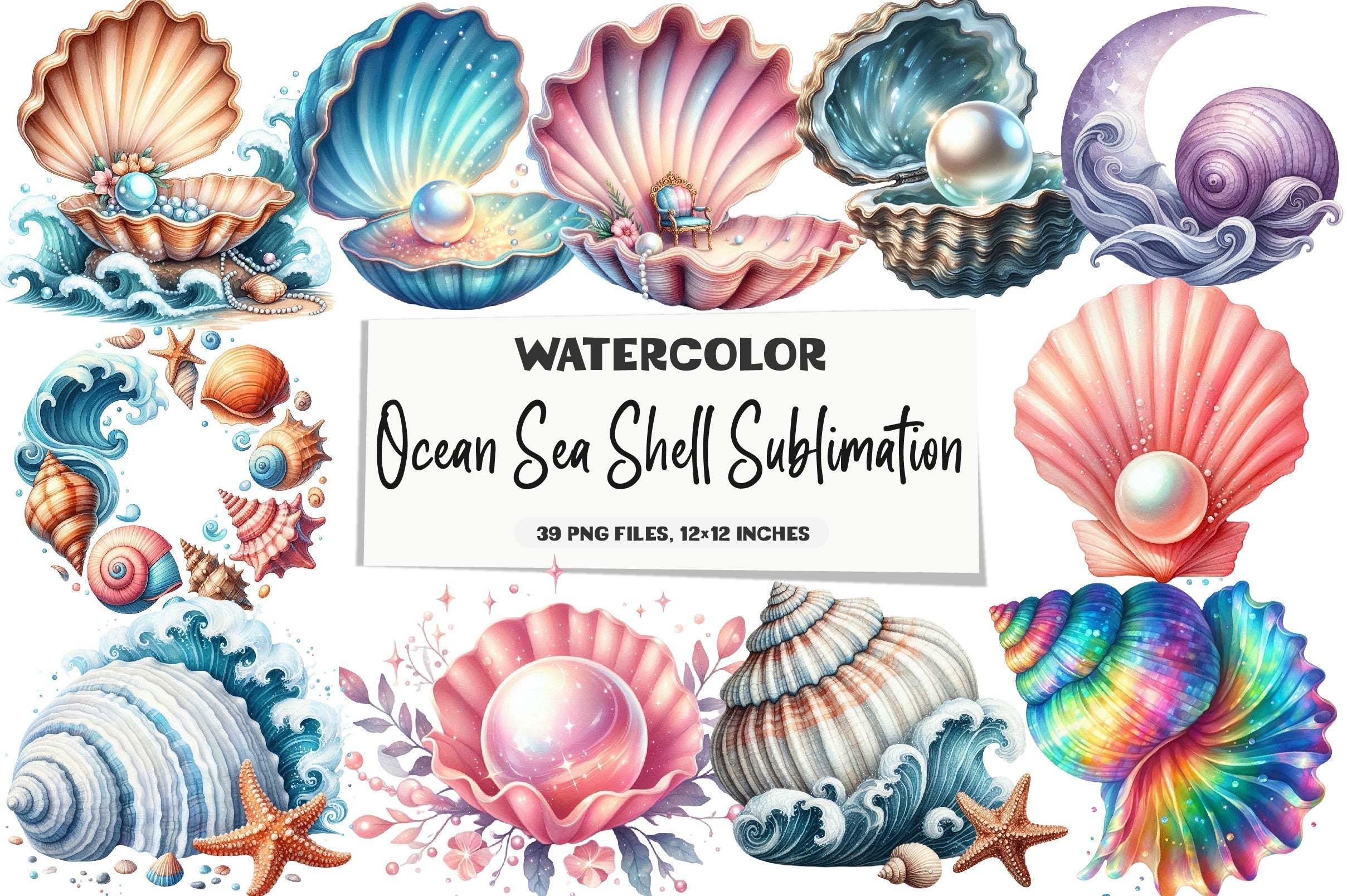 Ocean Sea Shell Clipart Bundle