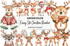 Funny Cute Christmas Reindeer Clipart Bundle