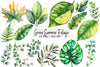 Green Summer Foliage Clipart Bundle