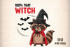 Funny Halloween Witch Sarcastic Raccoon Clipart Bundle