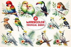 Tropical Birds Clipart Bundle - CraftNest - Digital Crafting and Art