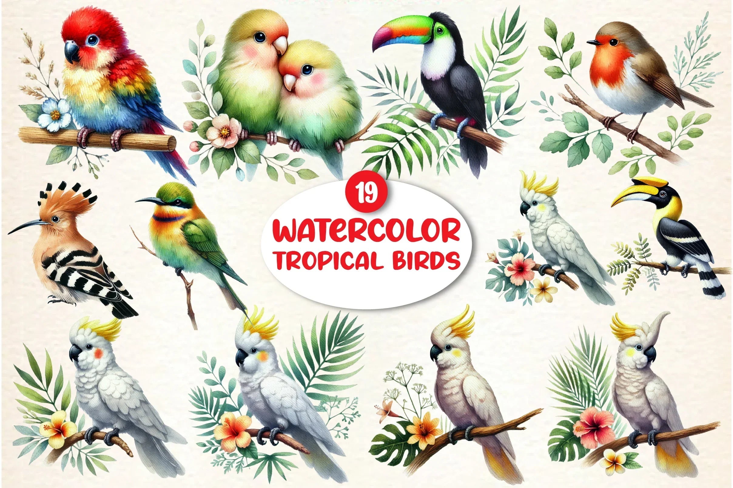 Tropical Birds Clipart Bundle - CraftNest - Digital Crafting and Art