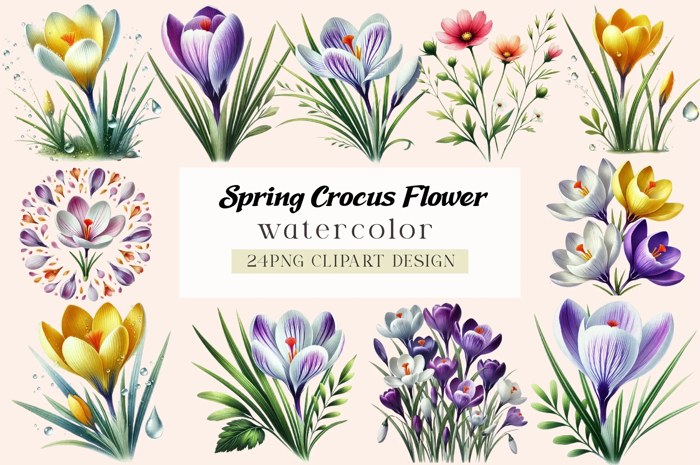 Spring Crocus Flower Clipart Bundle - CraftNest - Digital Crafting and Art