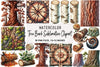 Tree Bark Clipart Bundle