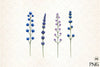 Wildflowers Brushstroke Clipart Bundle