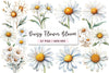 Daisy Flower Bloom Clipart Bundle