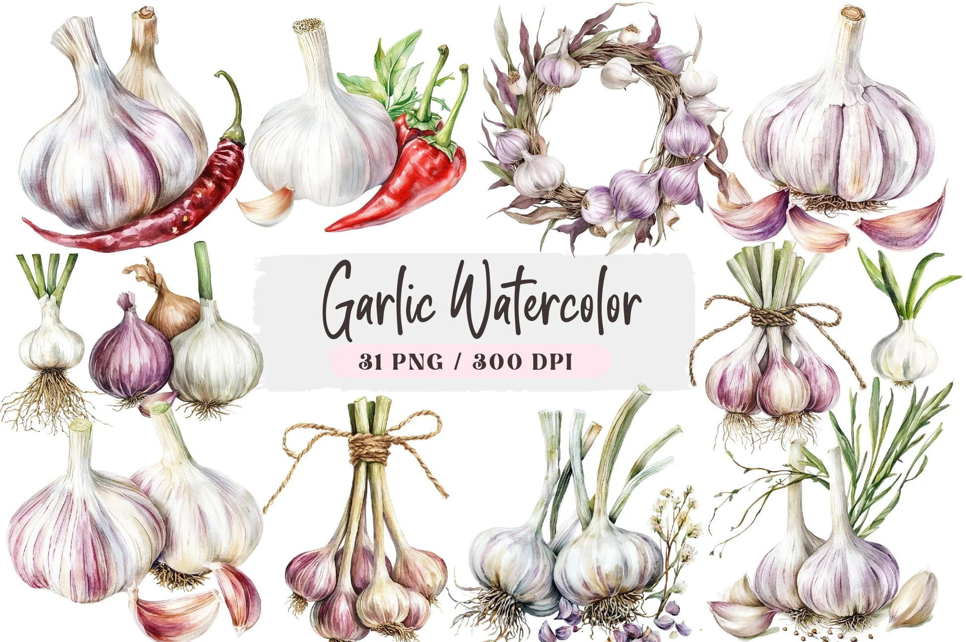 Garlic Clipart Bundle - CraftNest - Digital Crafting and Art