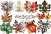 Autumn Plaid Leaf Clipart Bundle