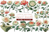 Quirky Valentine Rose Flower Clipart Bundle